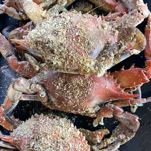 Steamed Crabs