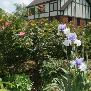 A glimpse of the English countryside at Harris Glen