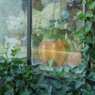 Ivy covered and nature approved.