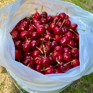 $4 a pound