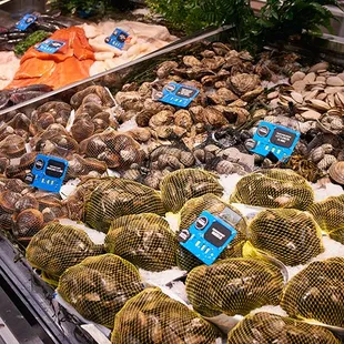 a display of fresh seafood
