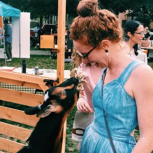 Animals on site for the eighth annual Food Con