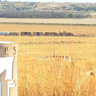 Overlooking they Valley, watching trains pass by