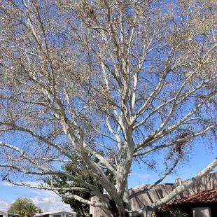 Overall, Harrison Hills is a beautiful and safe Manufactured Home Park.