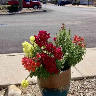 Love living at Harrison Hills!