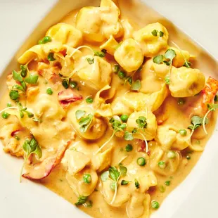Lobster Sacchetti