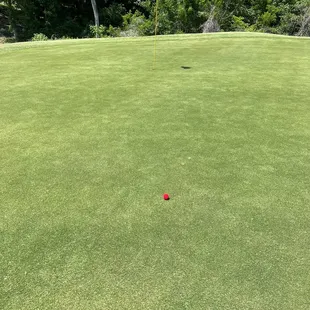 #17, 365 yard par 4, my 3rd shot landed the green