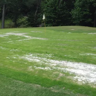 Worst greens in Charlotte!