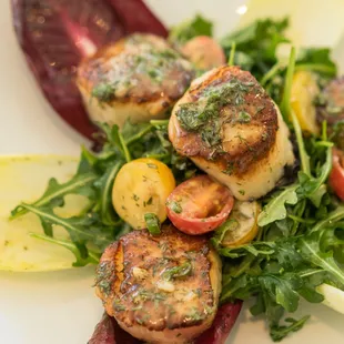 Scallop Salad