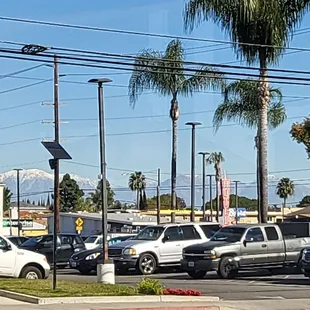 Lovely window view of the California Palm Trees and snowy California Mountain Tops