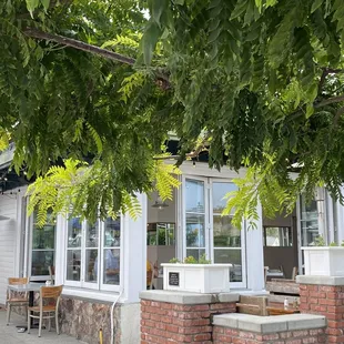 Corner spot with tables shaded by beautiful trees and umbrellas