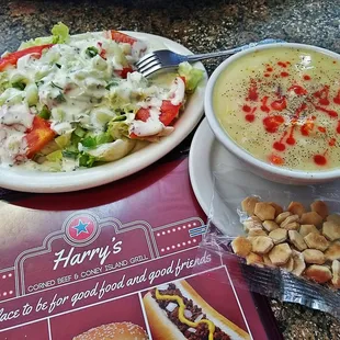 Chicken Dumplings Soup n Salad Wonderful