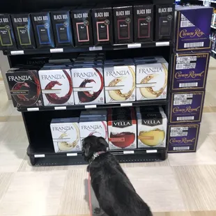 So which wine would be good for me!