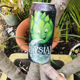 Elysian IPA (4)