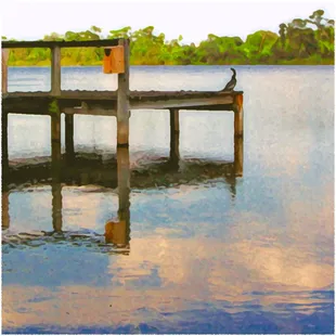 Harry's Old Dock on Lake Ned...                                                   Winter Haven, Florida