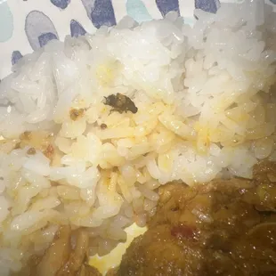 a plate of rice and meat