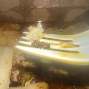 Bug in my chicken curry