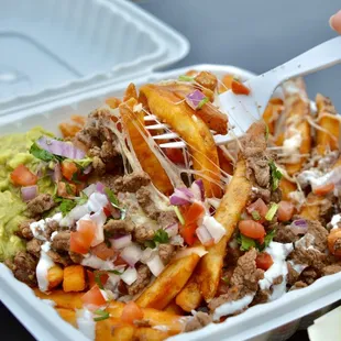 Carne Asada Fries