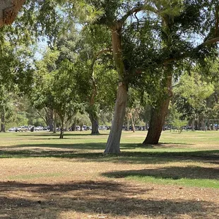 The park area with a playground , tables and bbq pits