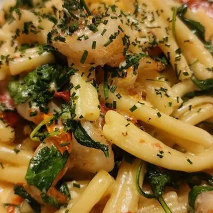 Casarecce Pasta with Shrimp