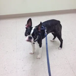 Hartland Park Animal Hospital
