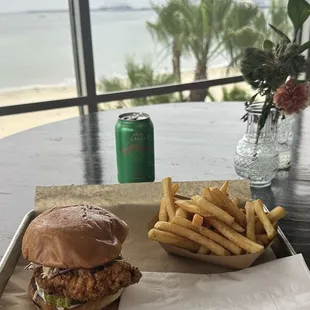 Fried Chicken Sandwich &amp; Fries