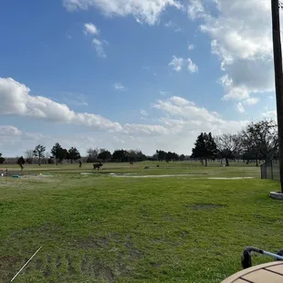 Driving range