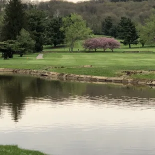 A look back From the second water to #11 fairway
