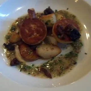 Salmon
