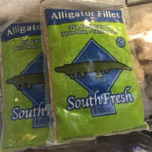 Alligator