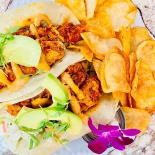 Hot Chicken Tacos