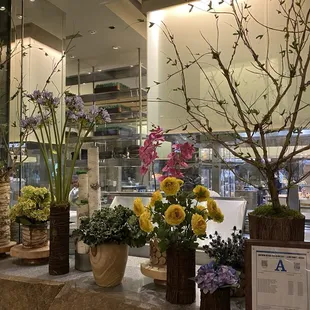 Absolutely Gorgeous Decor