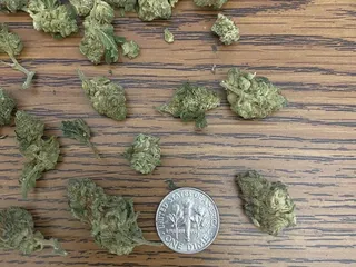 Trulieve Tempe Dispensary