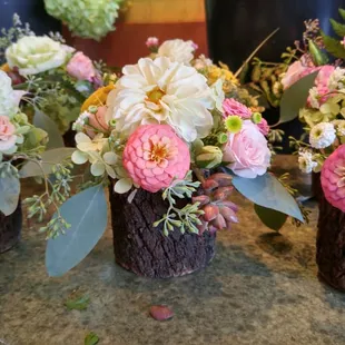 Love these hollowed out 'log pots'!