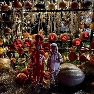 Pumpkin photo op