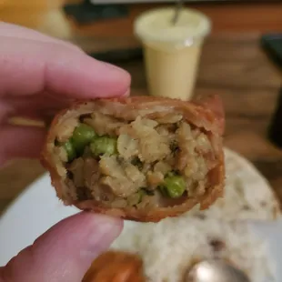 Vegetable Samosa