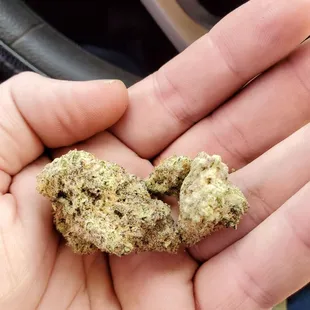 Miracle alien cookies