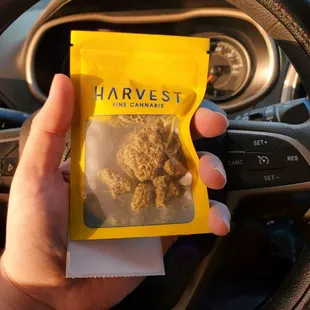 Miracle alien cookies