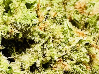 Trulieve Tucson Dispensary