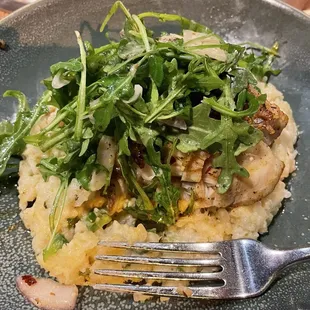 Red grouper on parmesan jalapeño risotto topped with arugula.