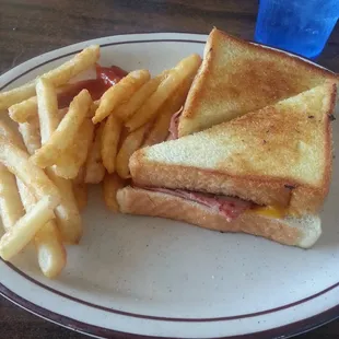Grilled cheese &apos;n fries. Love the fries but the cheese on the sandwich could be better. Tastes like Kraft singles. Too salty.