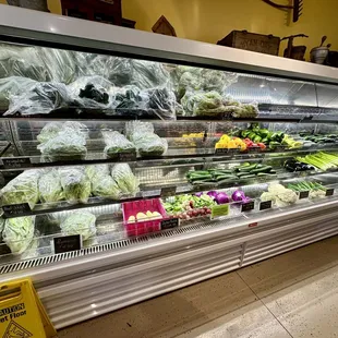 Lettuces, radishes, zucchini, peppers, celery, cauliflower, etc.