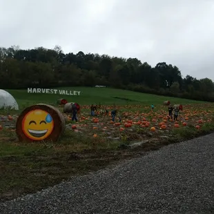 The patch
