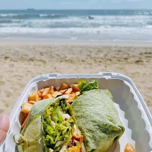 Beach Burrito Sandwich on the Beach