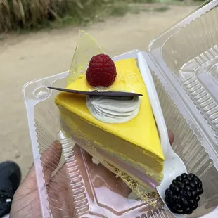 Mango strawberry mouse cake slice