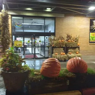October 28, 2021 Giant pumpkin tradition