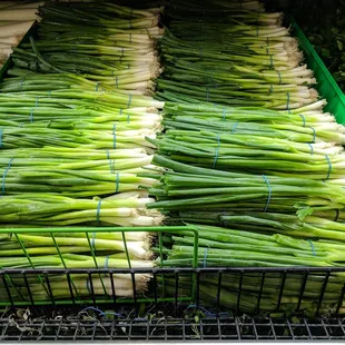 So fresh and so green, green.