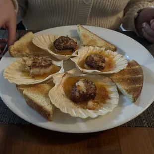 Scallops