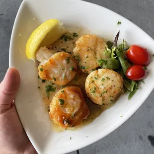 Scallops in white wine butter sauce