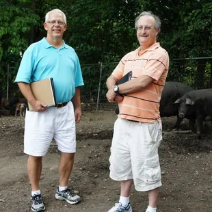 In with the Pigs at Copper Penny farm in Hanover, MD